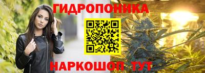 стафф Бугуруслан