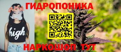 гашик Будённовск