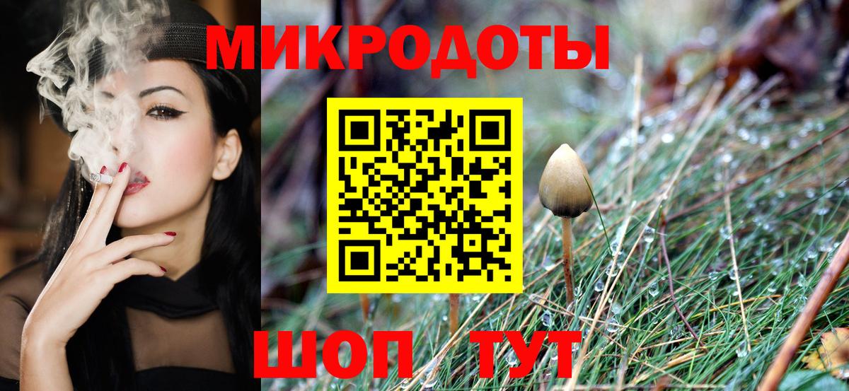 Псилоцибиновые грибы мицелий Скопин
