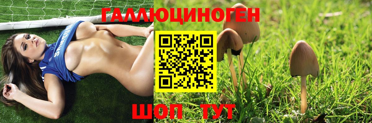 Псилоцибиновые грибы мухоморы  Вход с VPN  Псилоцибиновые грибы Psilocybe  Скопин 